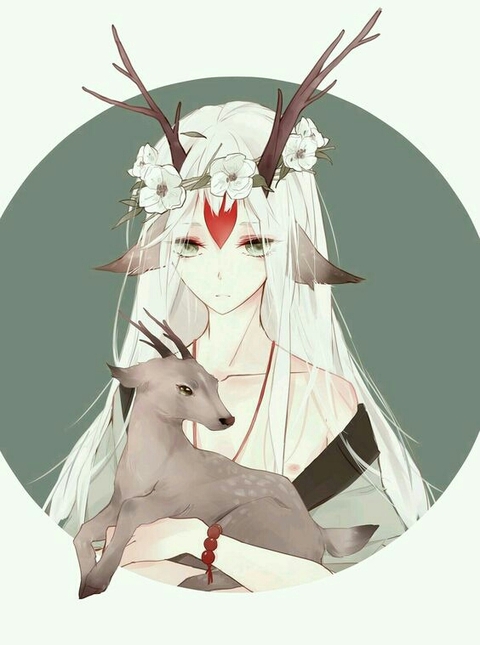 sfondi deer, reindeer