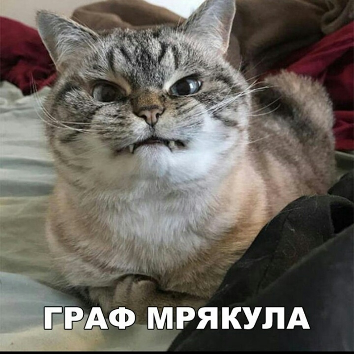 Граф Мрякула