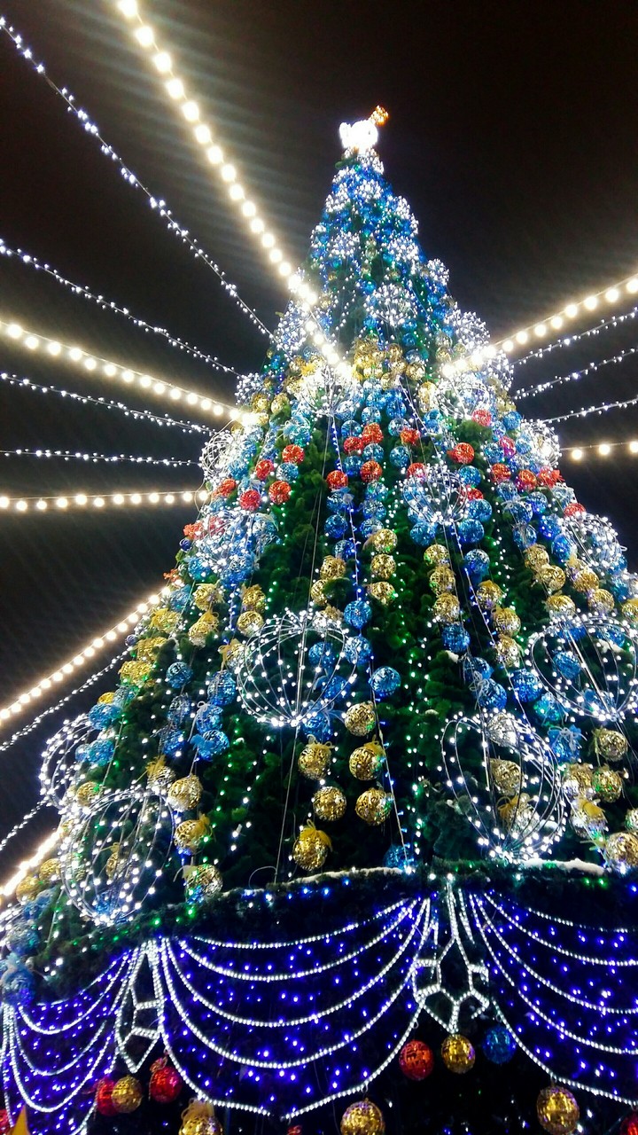 Christmas