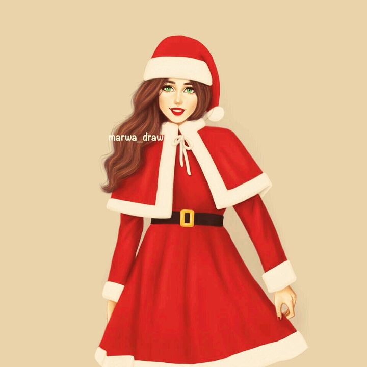 LA NAVIDAD LLEGO