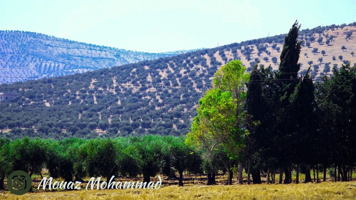 Mountains