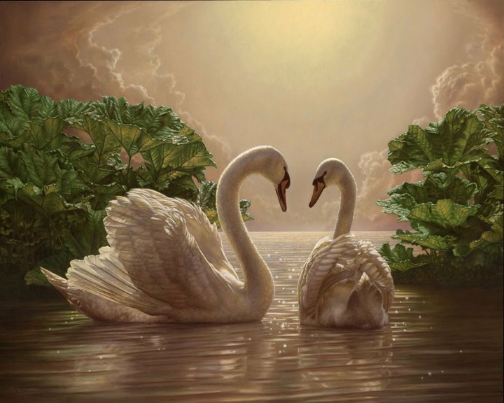 .birdies