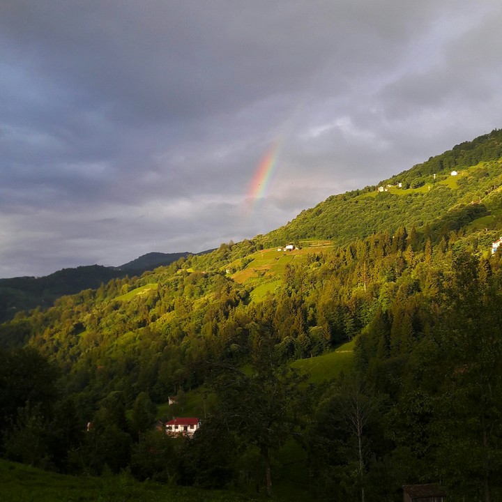 rainbow