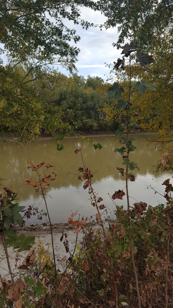 The Start of Autumn