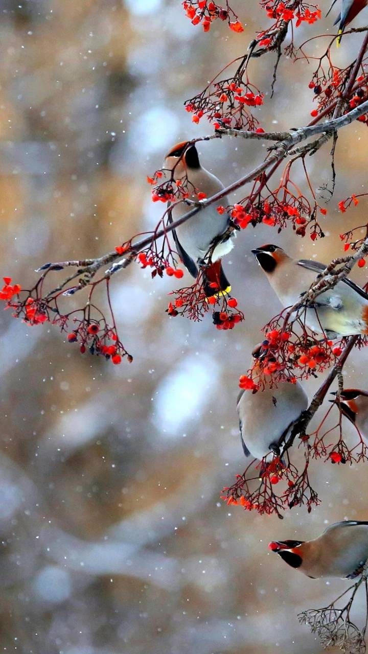 Beauty of nature