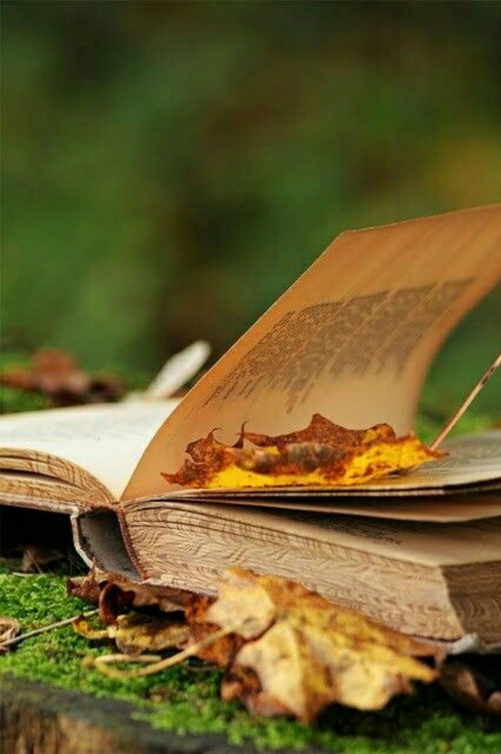 Book
