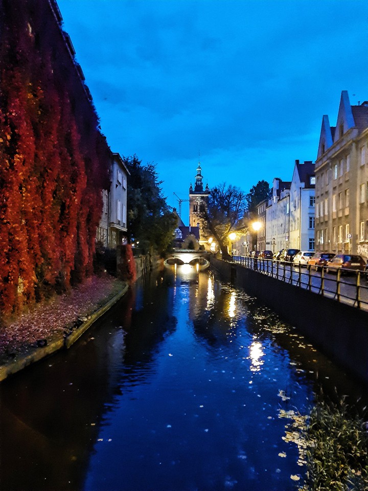 Night lights