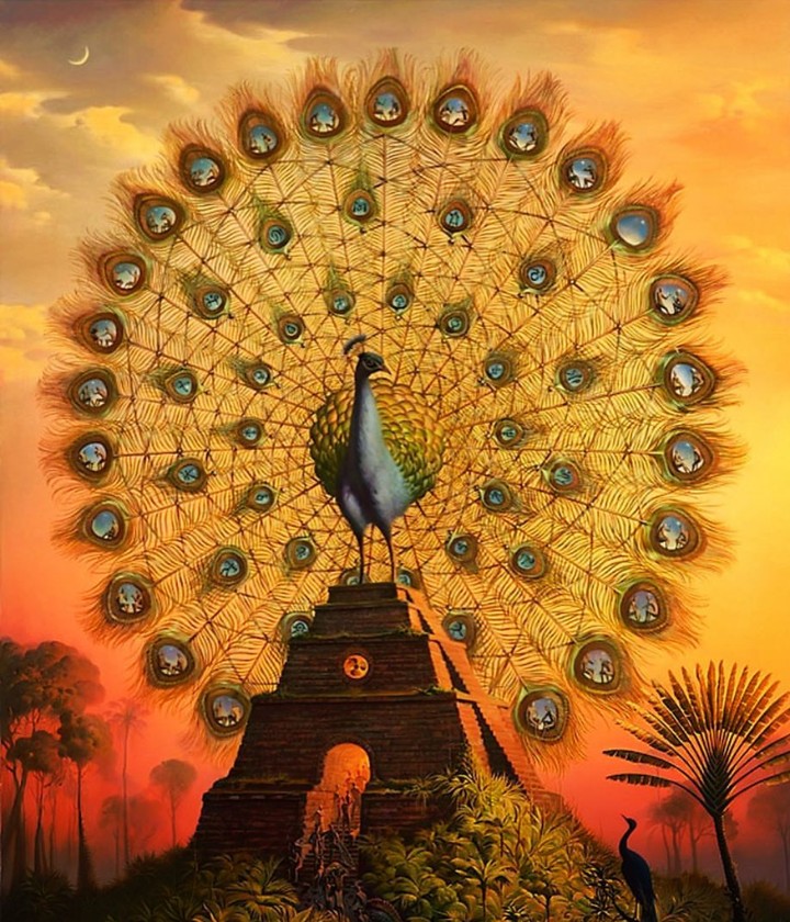 peacock of Yucatan