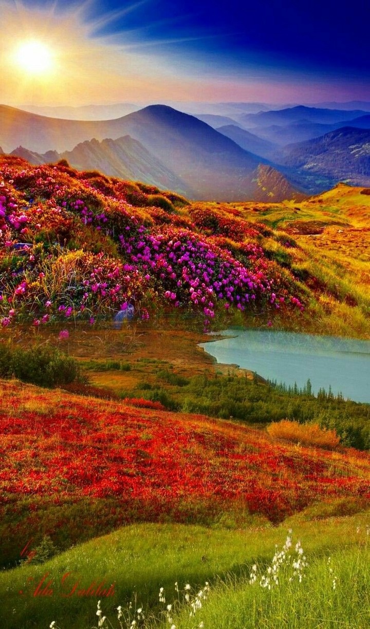 Nature.
