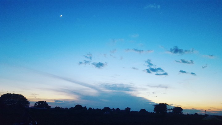 nature's canvass