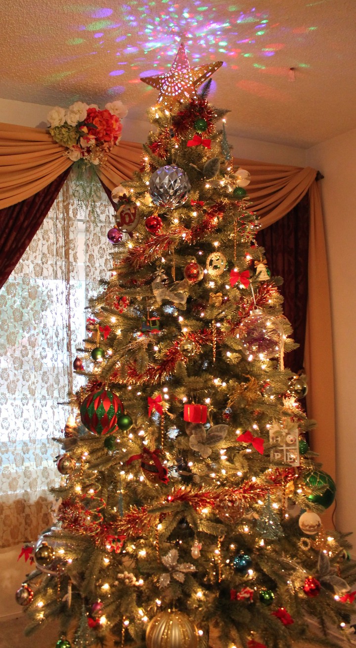 family Christmas tree