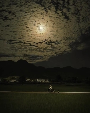 Village at night