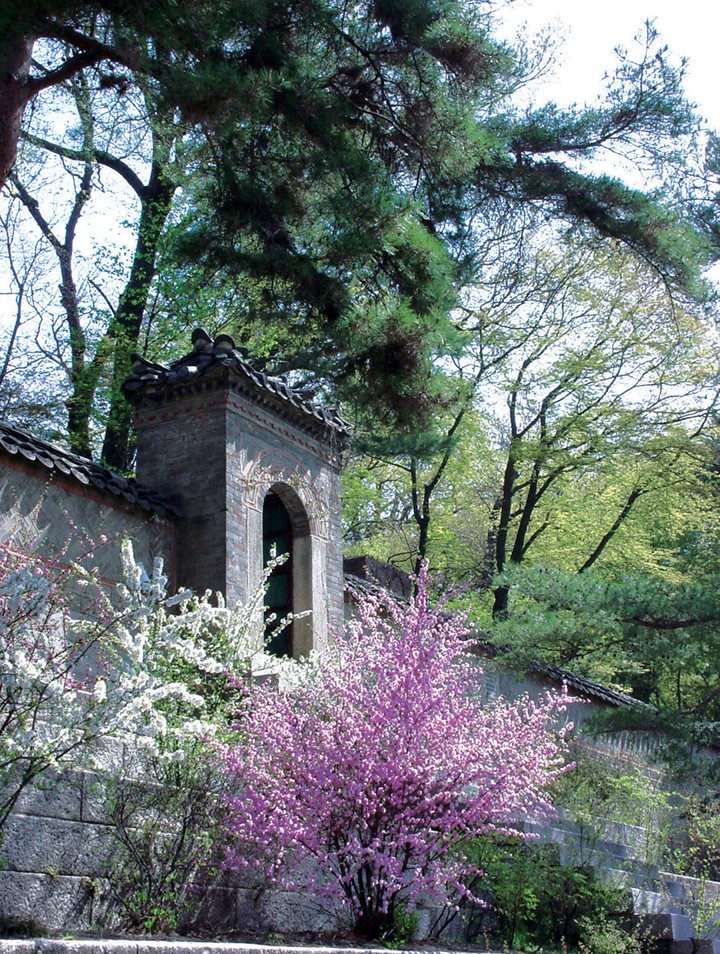 풍경이미지