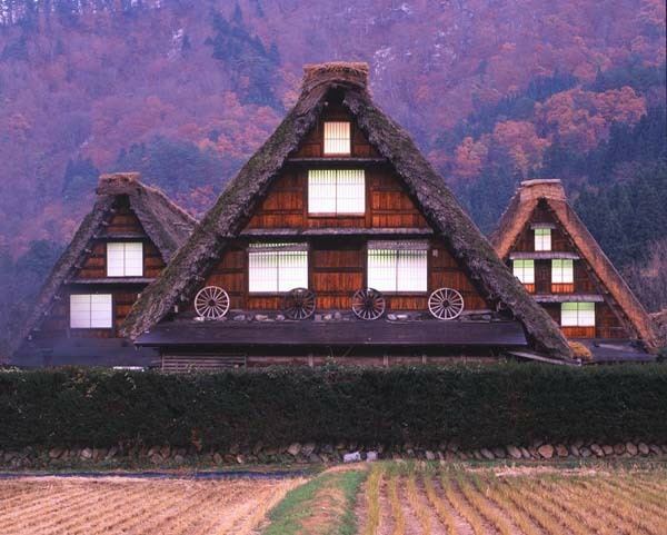 steep thatched cottages － Shirakawa-go
