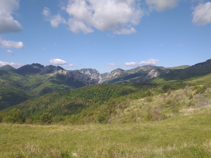 rocky mountain