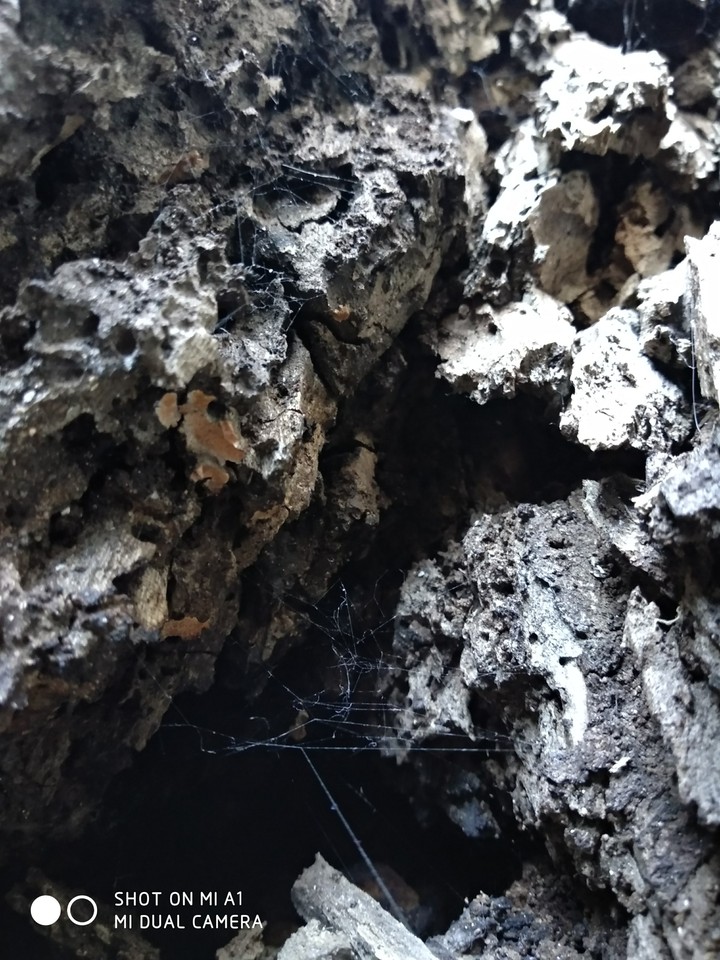 cave
