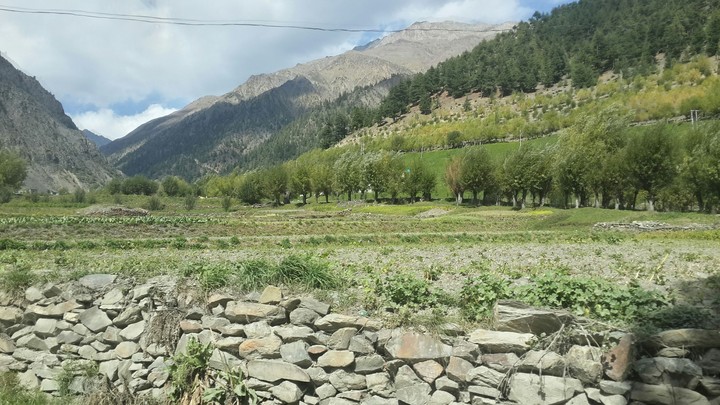 The valley