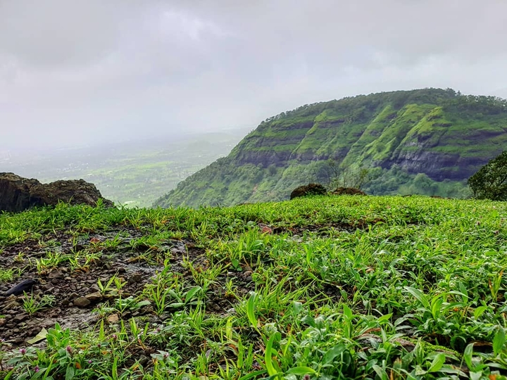 Green Nature