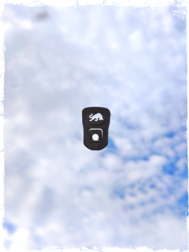 Bull in the sky