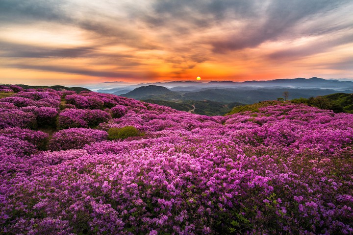Nature's Beauty