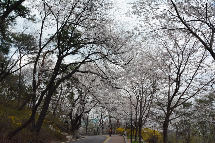 남산이미지
