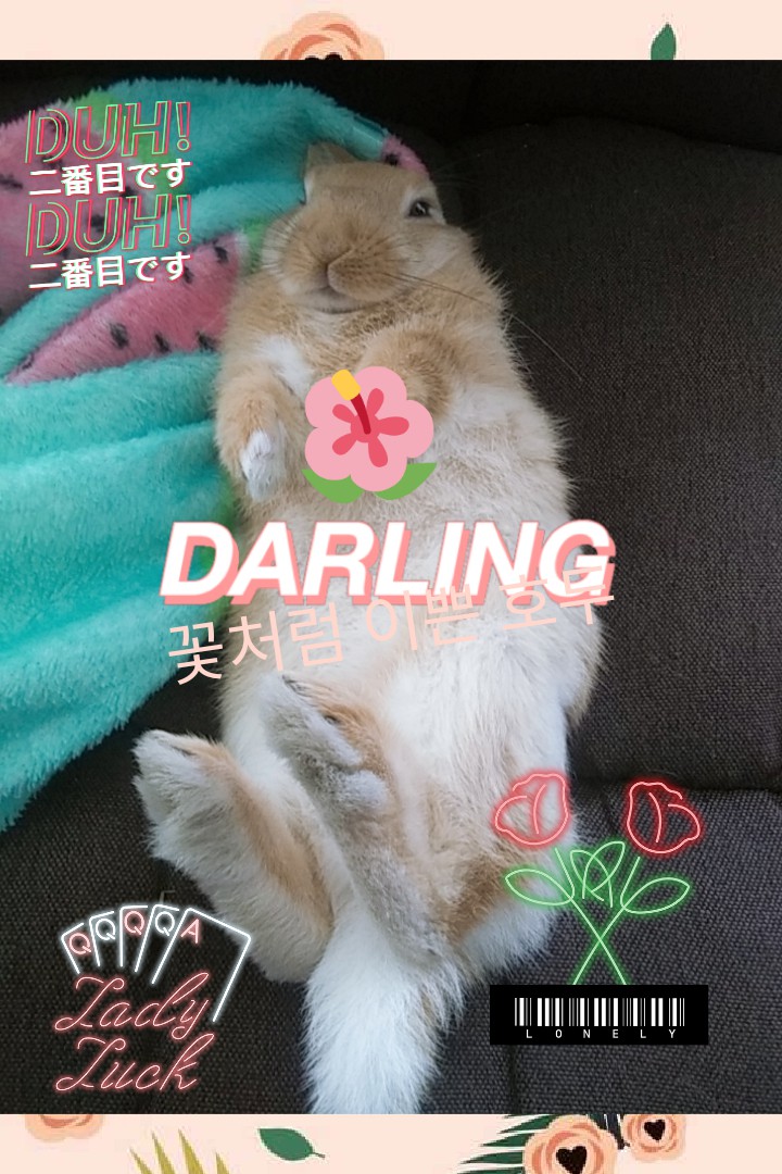 요론자세 쉽지 않죠~~