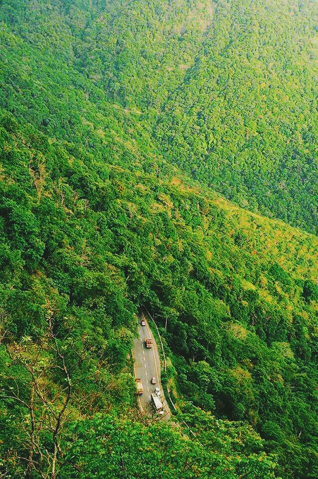Nature
