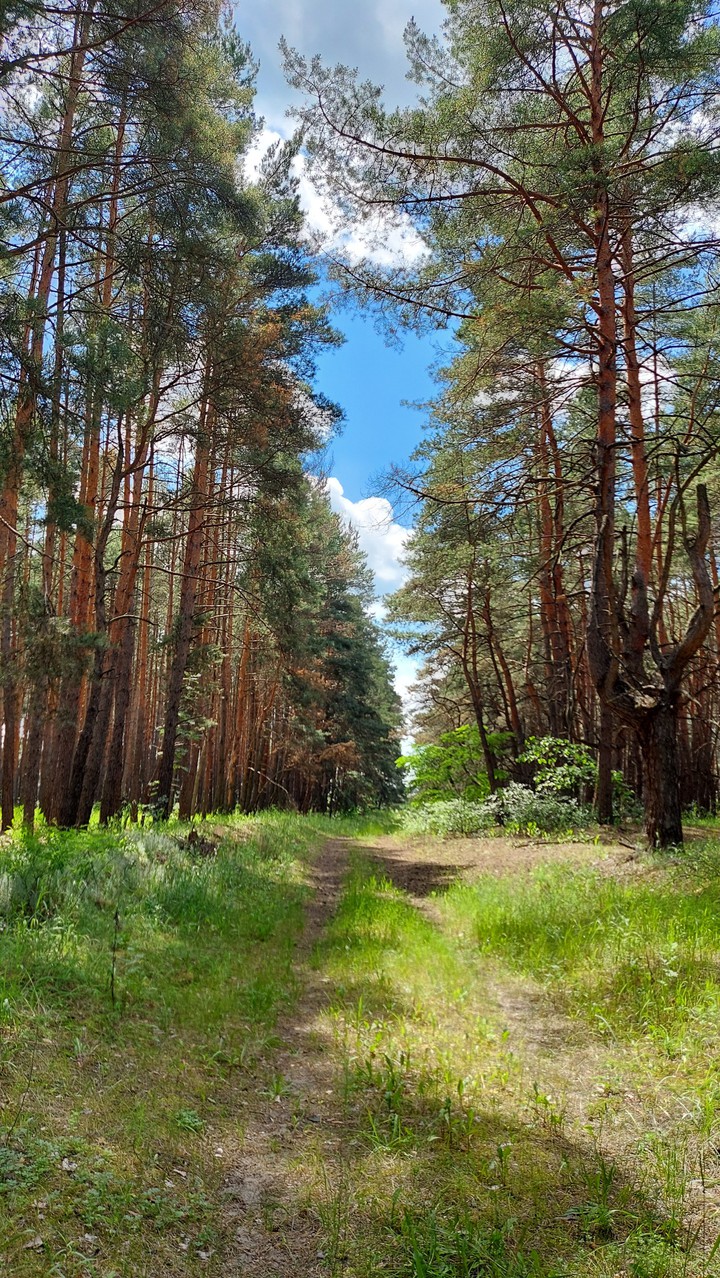 прогулка