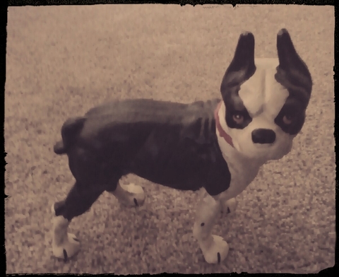 my puppy