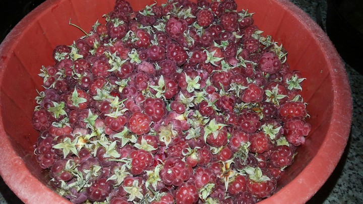 raspberries