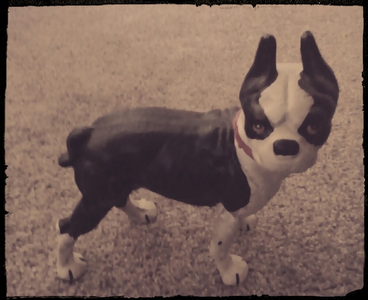 my puppy