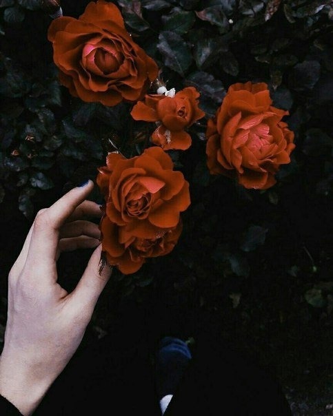 ♡
