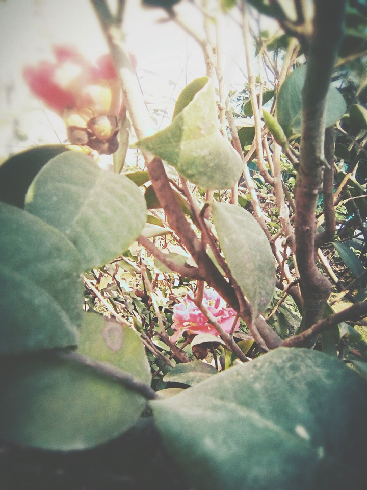 Hide and seek...