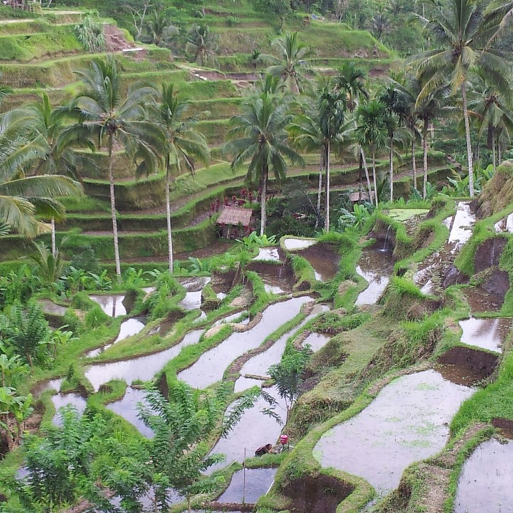 Bali,Indonesia