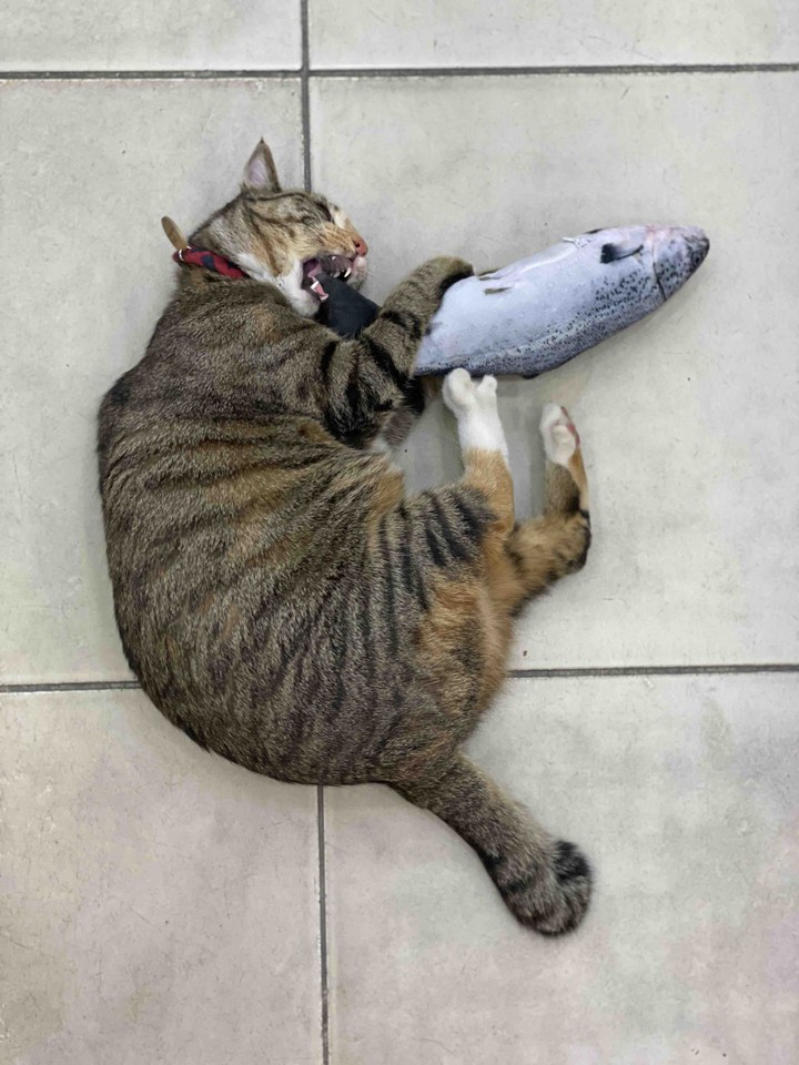 .