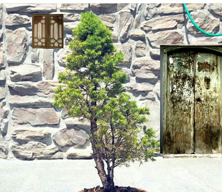 olddoor