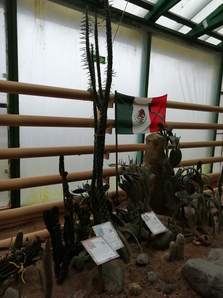 дикий запад
