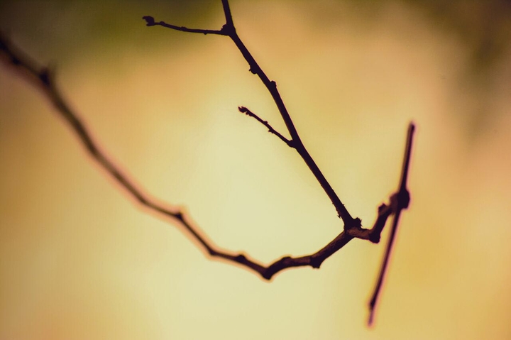 stick