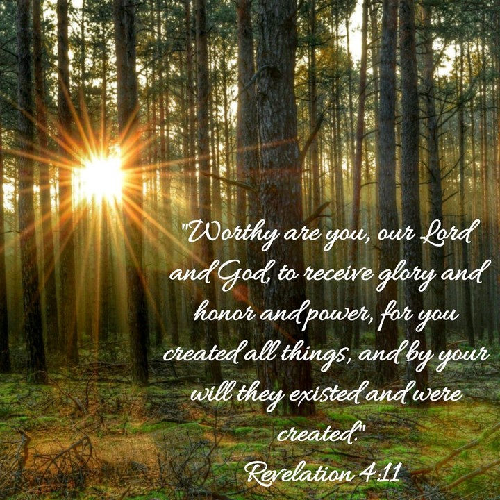 I love the Lord.