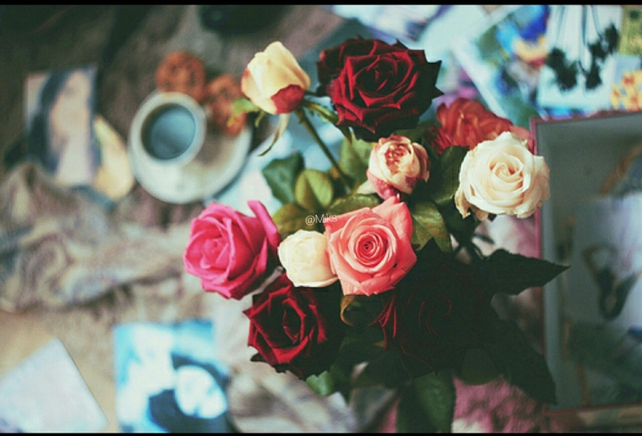 flowers