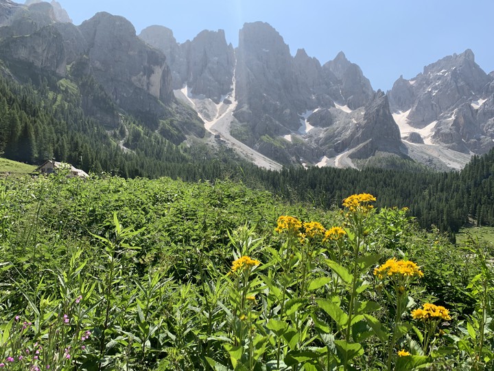 Pale di San Martino - Italy