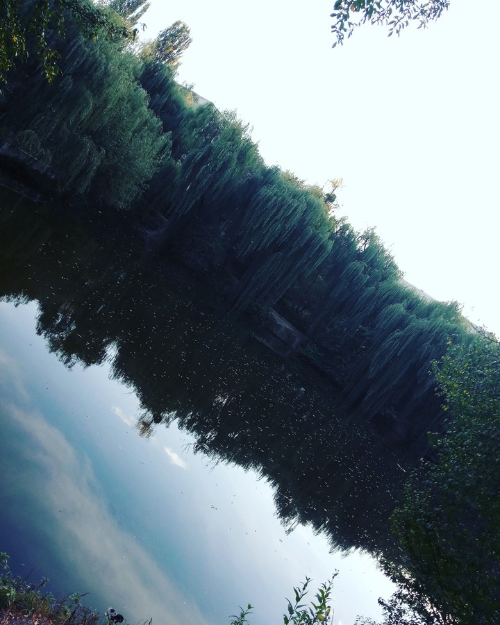 visiting a lake