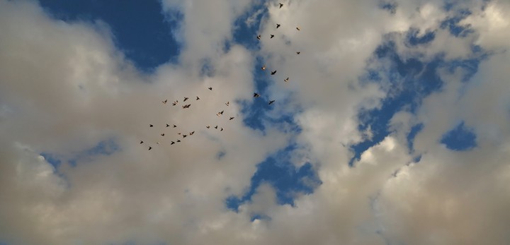 آسمانی که میبینم