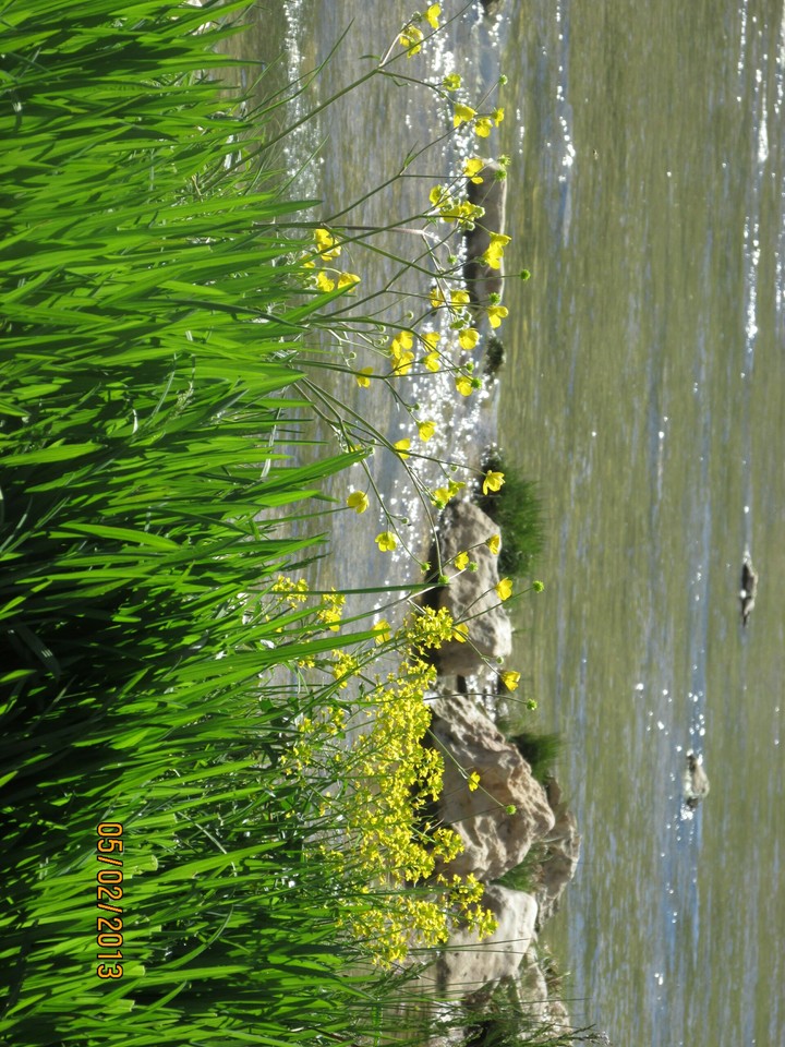 river