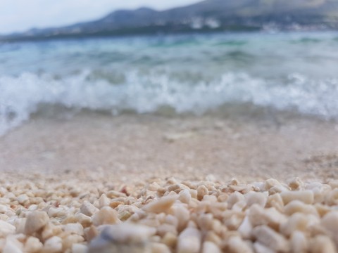 Sea