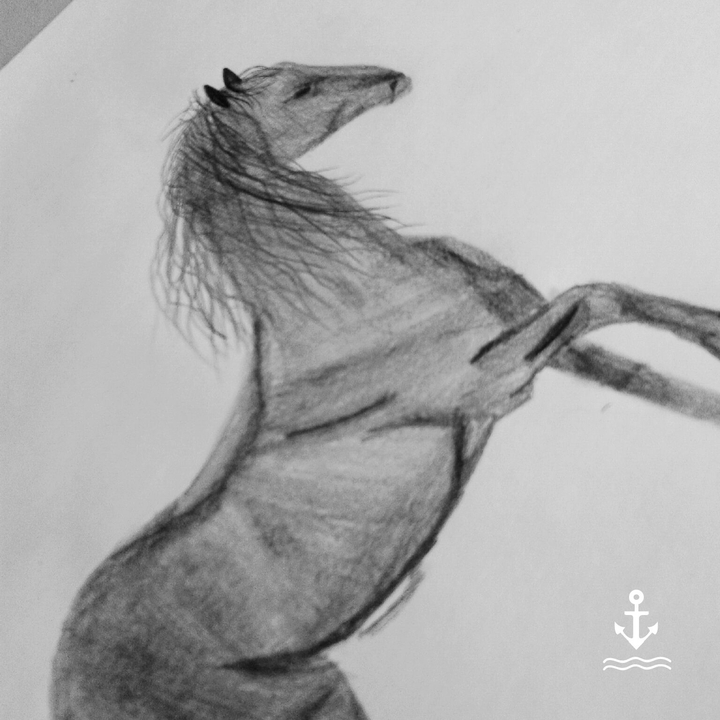 horse