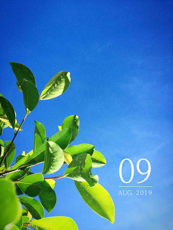 Green and blue