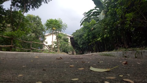 pathway