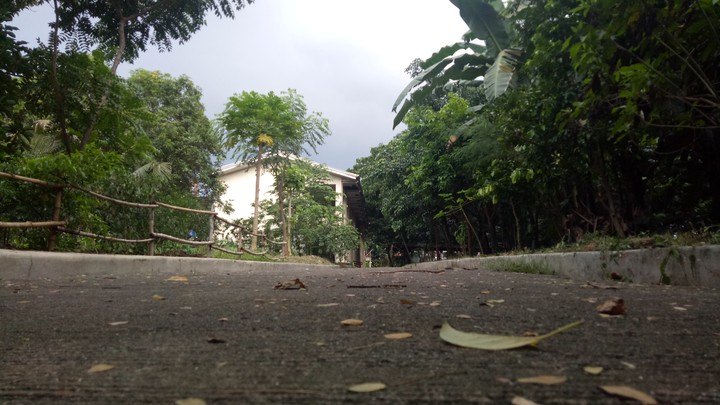 pathway