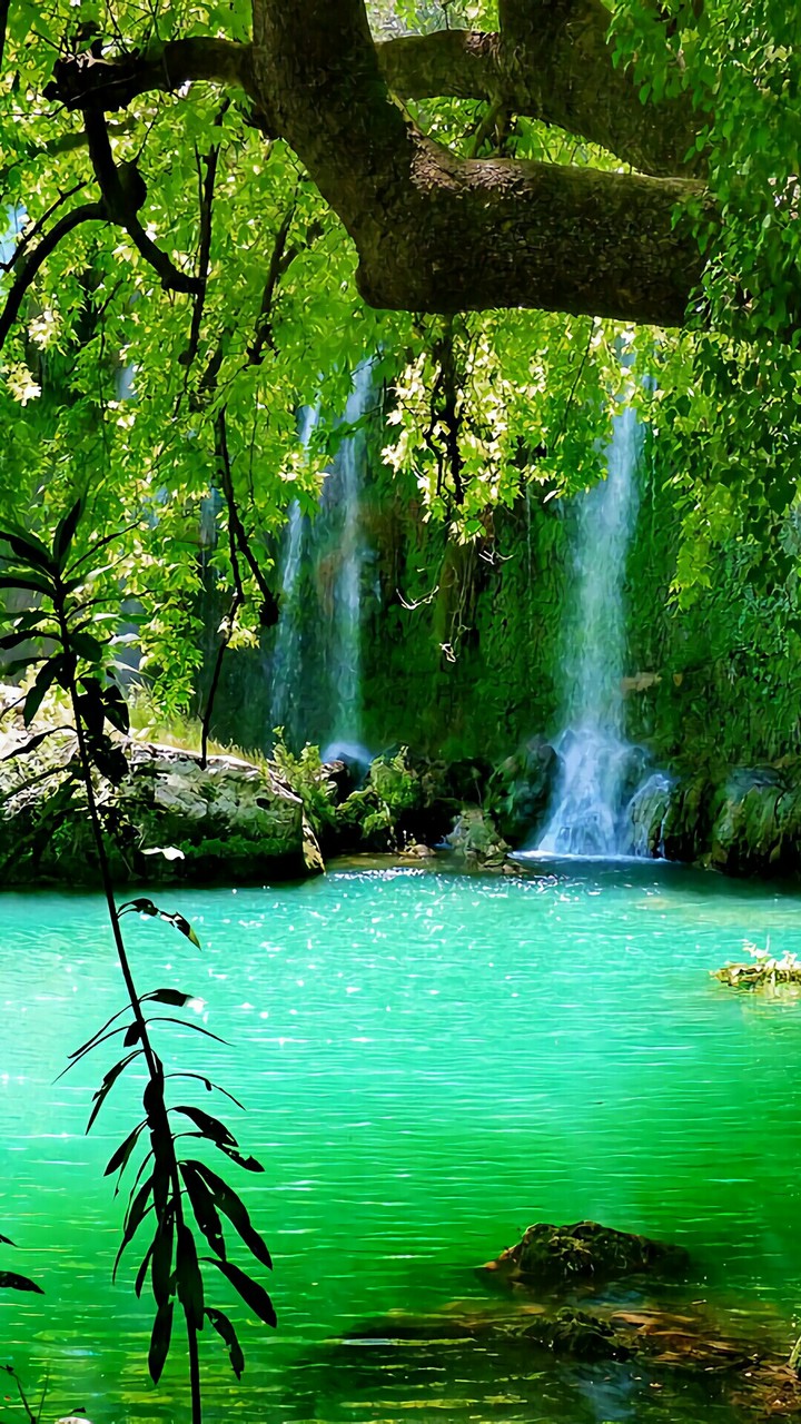nature